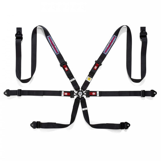 Sparco Martini Hans Endurance Racing Harness - FIA 8853-2016 - FastLap Supply